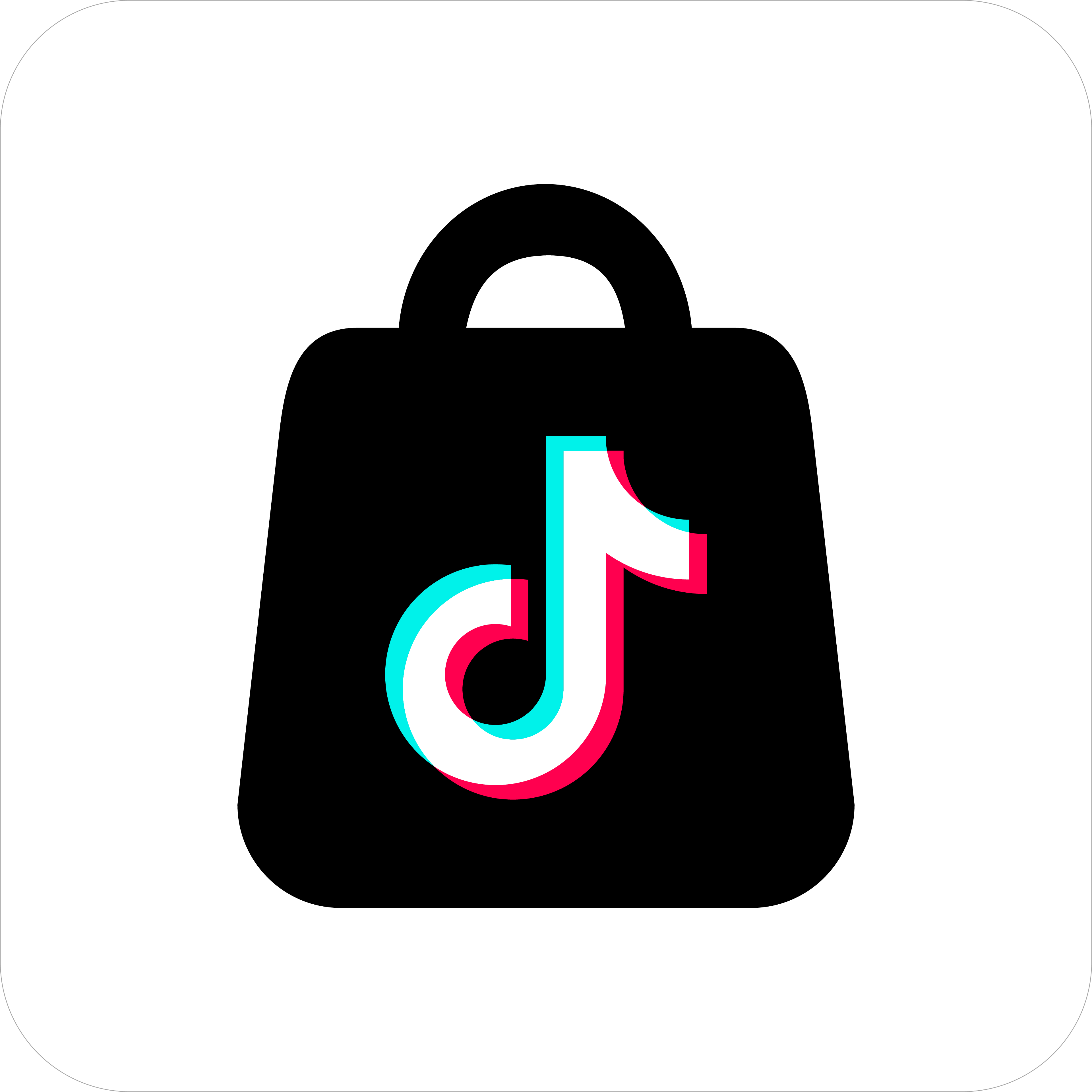 TikTok Shop
